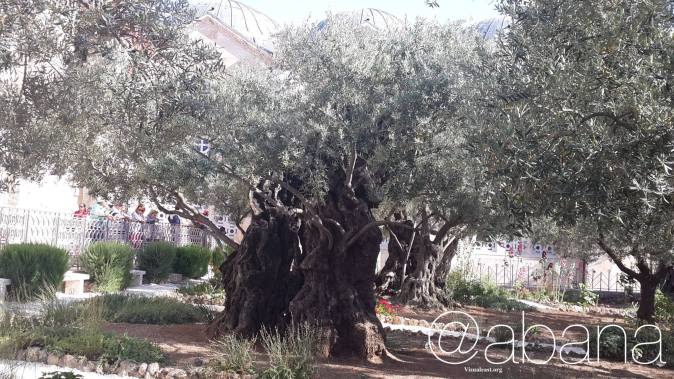 10372899_10152087462431921_6763653369926479858_o