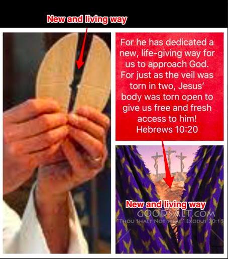 Screen Shot 2020-02-05 at 11.07.41 PM